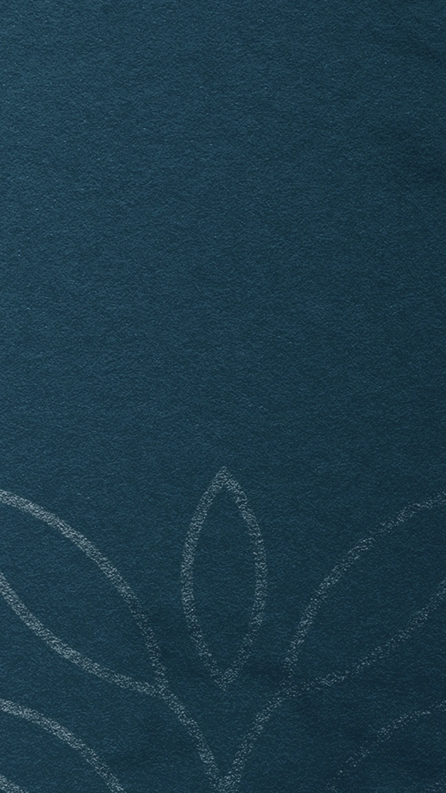 VITANOVA Background 2